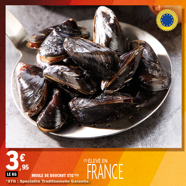 MOULE DE BOUCHOT STG*