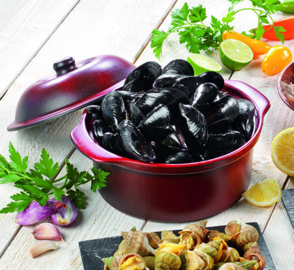 MOULE DE BOUCHOT STG 