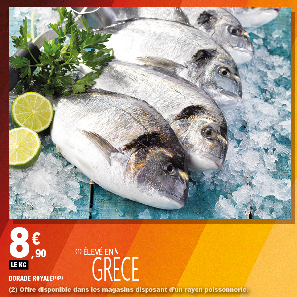 DORADE ROYALE(2)