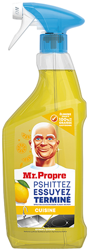 PISTOLET NETTOYANT MÉNAGER