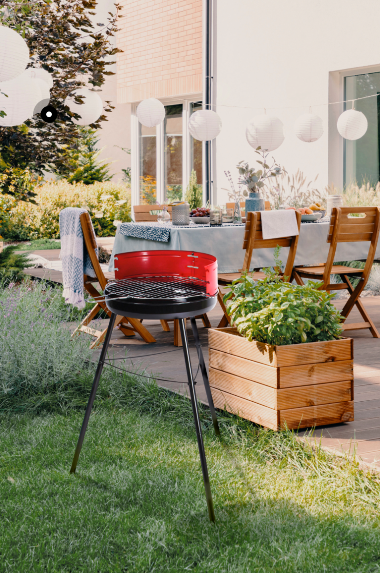 BARBECUE CHARBON