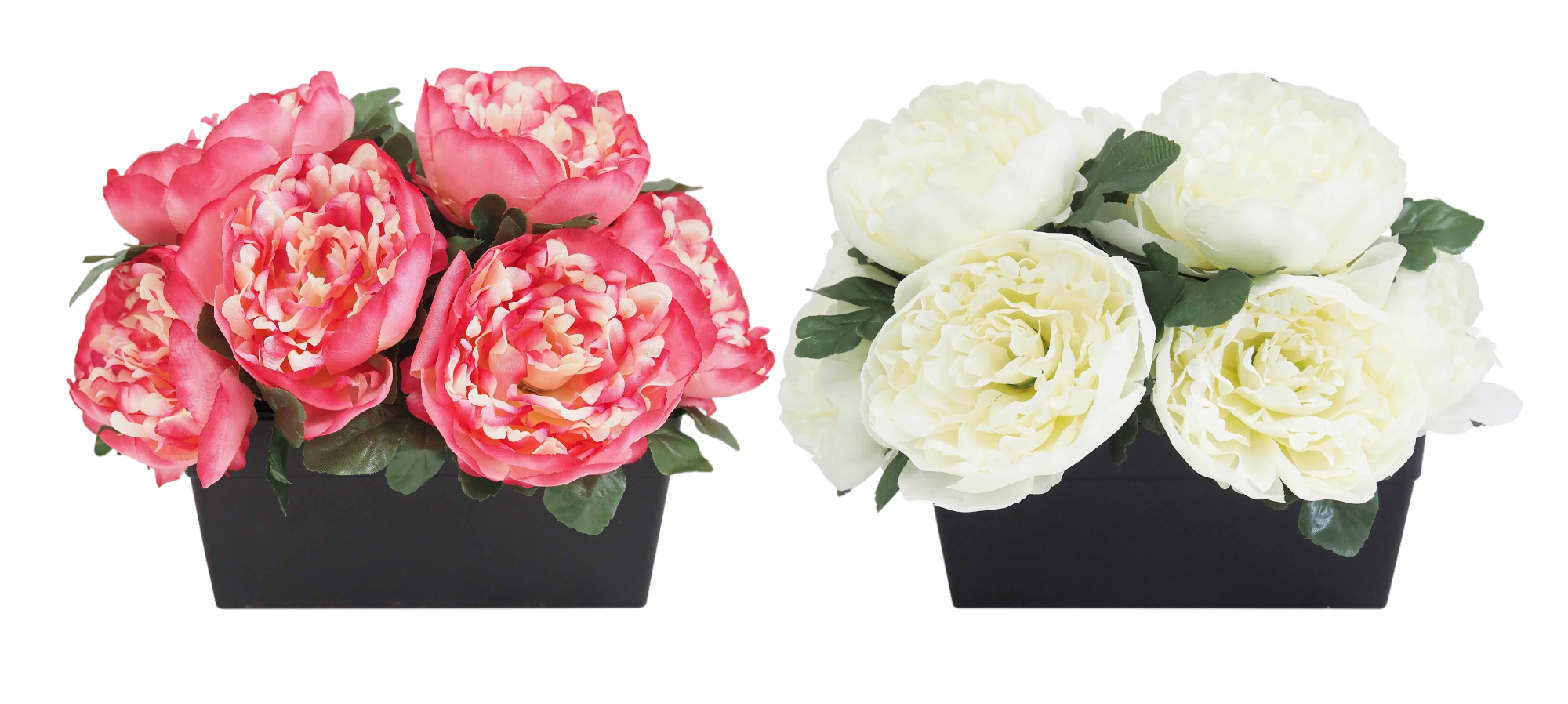 JARDINIÈRE DE 10 PIVOINES