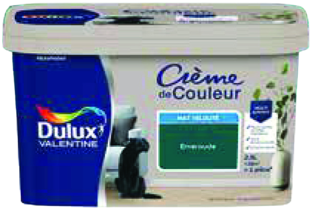 PEINTURE (2) 