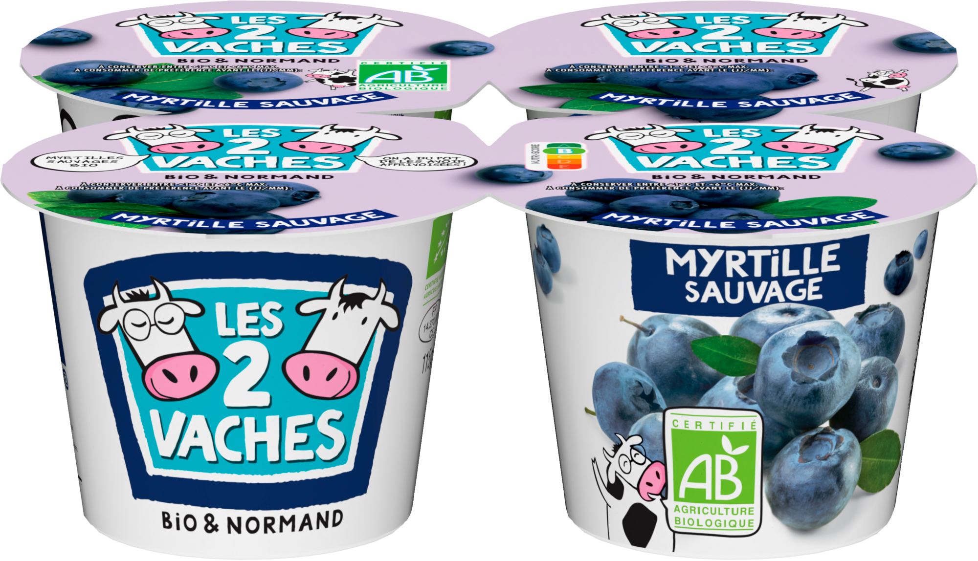 Yaourt brassé bio Myrtille sauvage