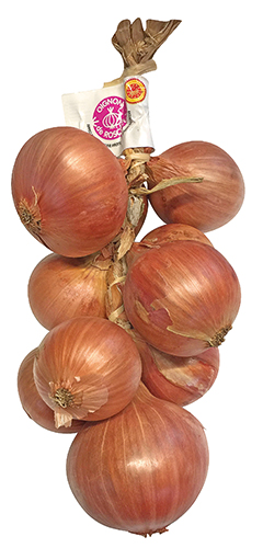 OIGNONS DE ROSCOFF AOP