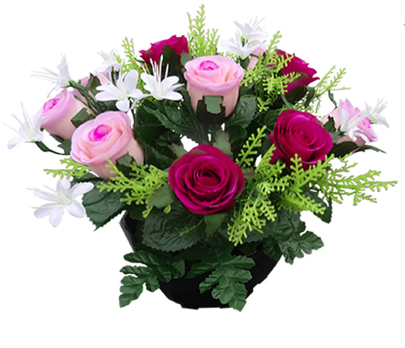 Octo ROSTI
( Rosettes, gypso)