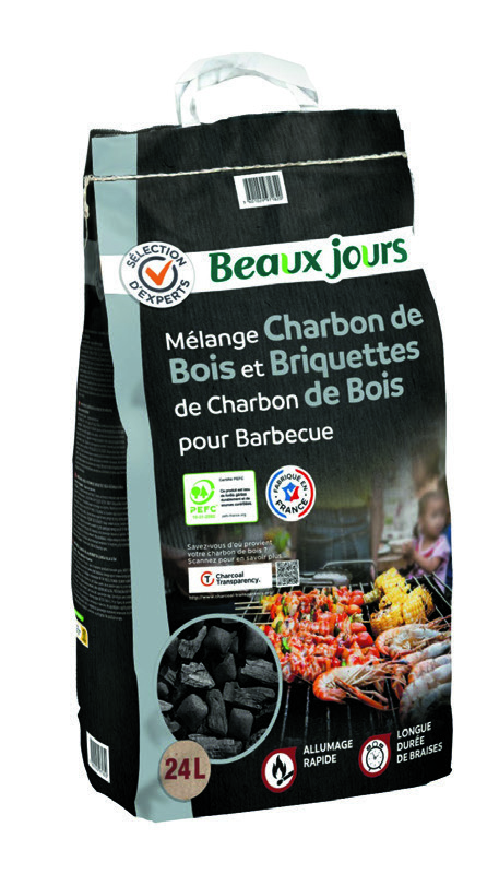 MÉLANGE CHARBON DE BOIS ET BRIQUETTES(1)