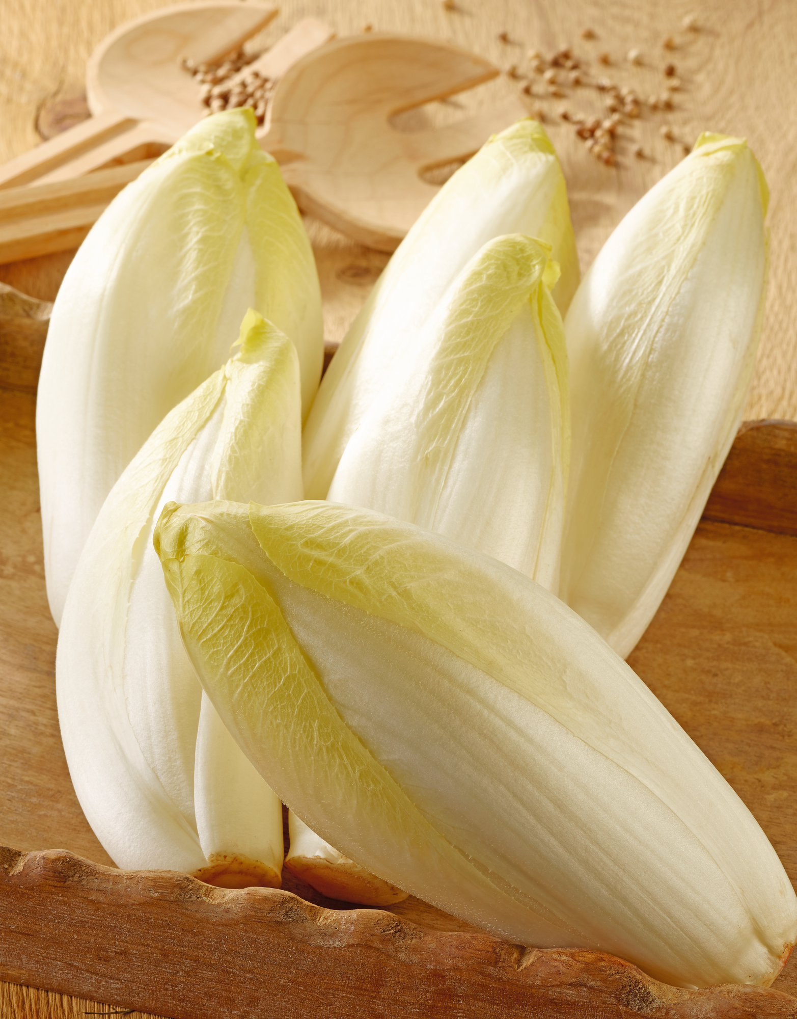 ENDIVES