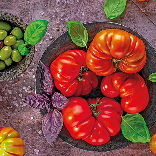 TOMATES CŒUR DE BŒUF VÉRITABLE