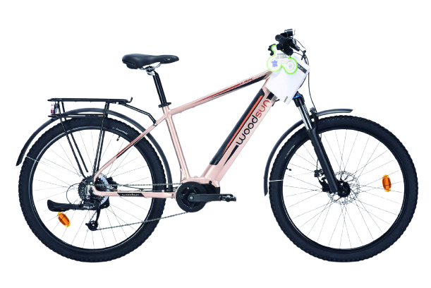 VÉLO SUV À ASSISTANCE ÉLECTRIQUE E-ROC(1)(2)