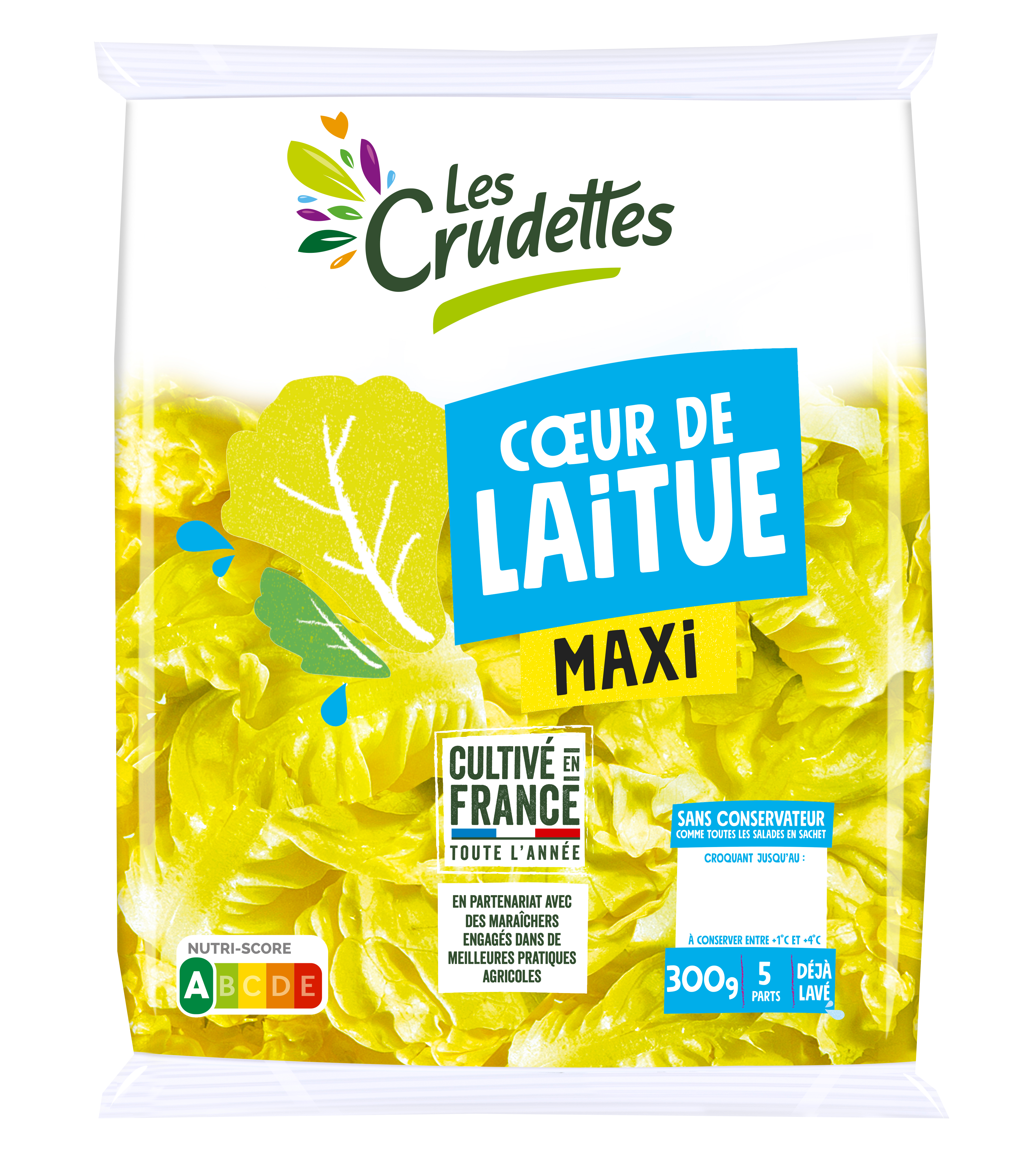 CŒUR DE LAITUE MAXI