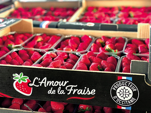 FRAISE