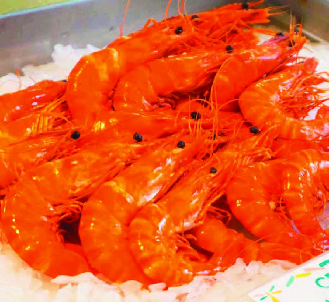 CREVETTES SAUVAGES 40/60