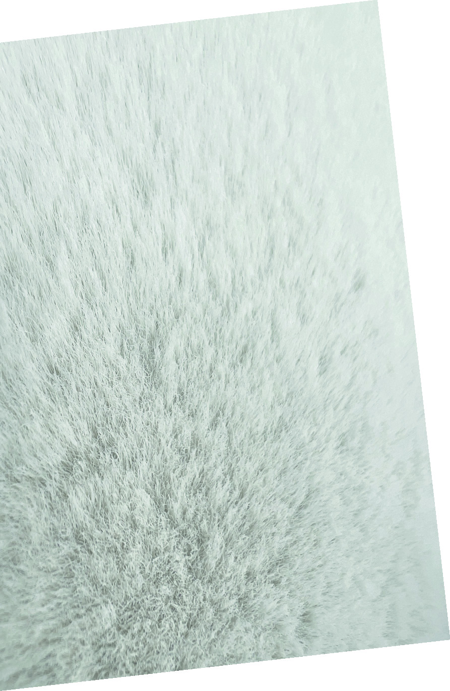 TAPIS FAUSSE FOURRURE