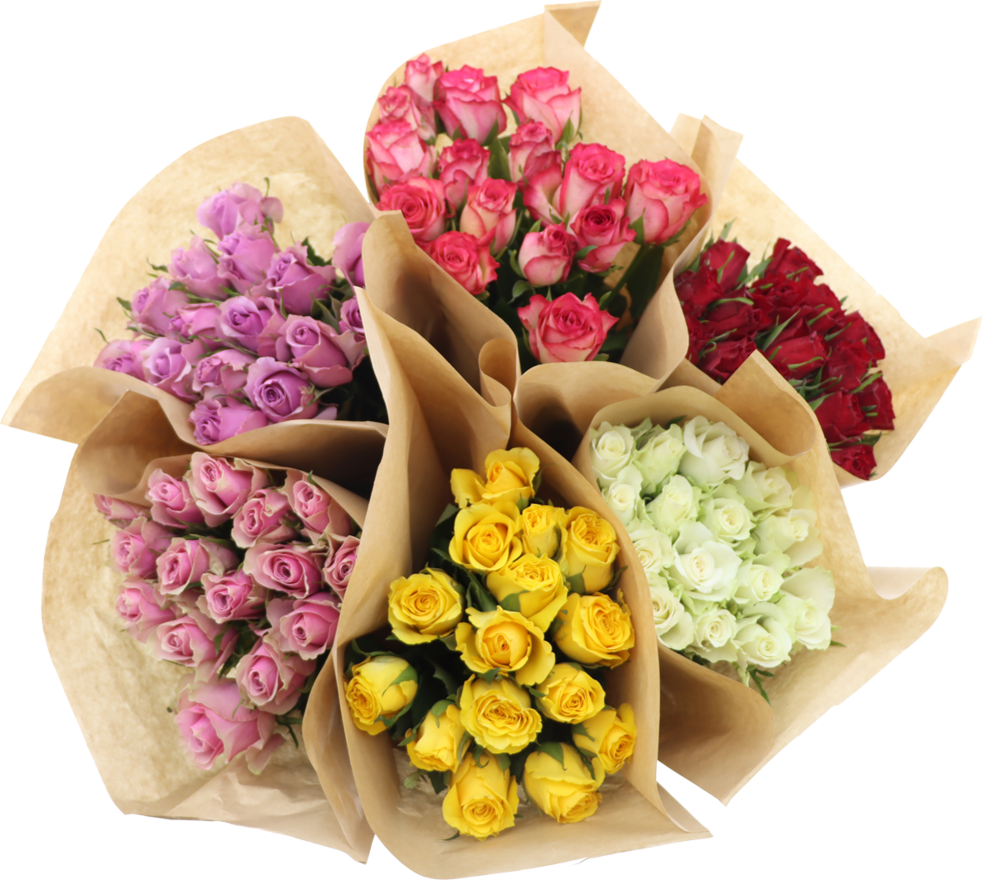 Bouquet de 15 roses max havelaar