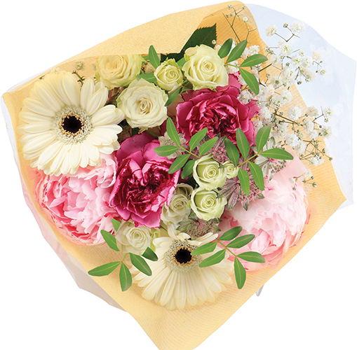 BOUQUET DU SUD