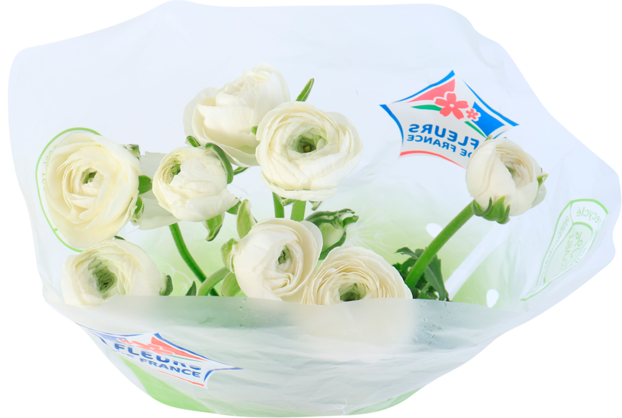 Bouquet de 8 renoncules