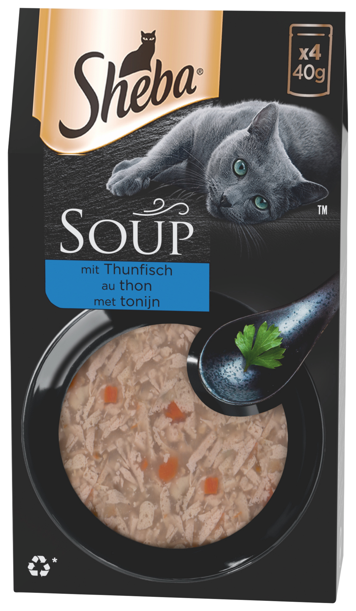 SOUPE POUR CHAT