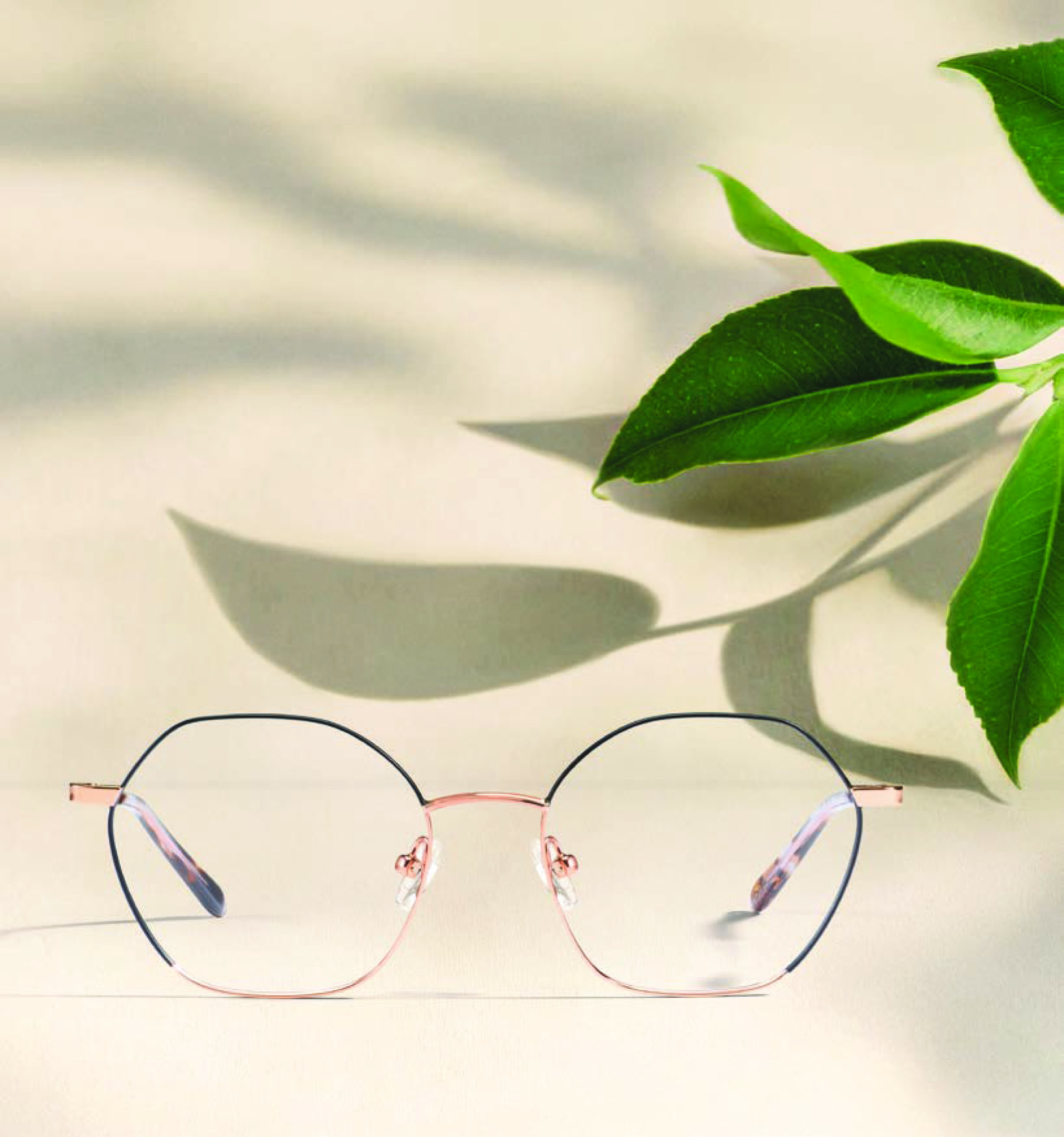 LUNETTES RIPCURL