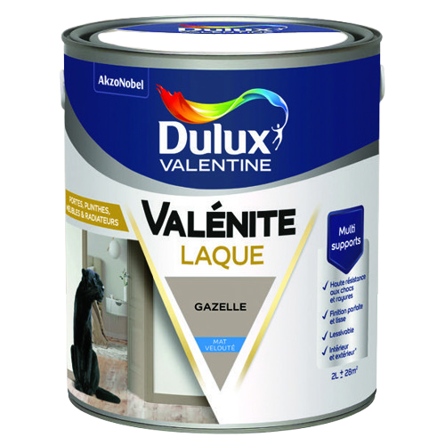 PEINTURE LAQUE (1)