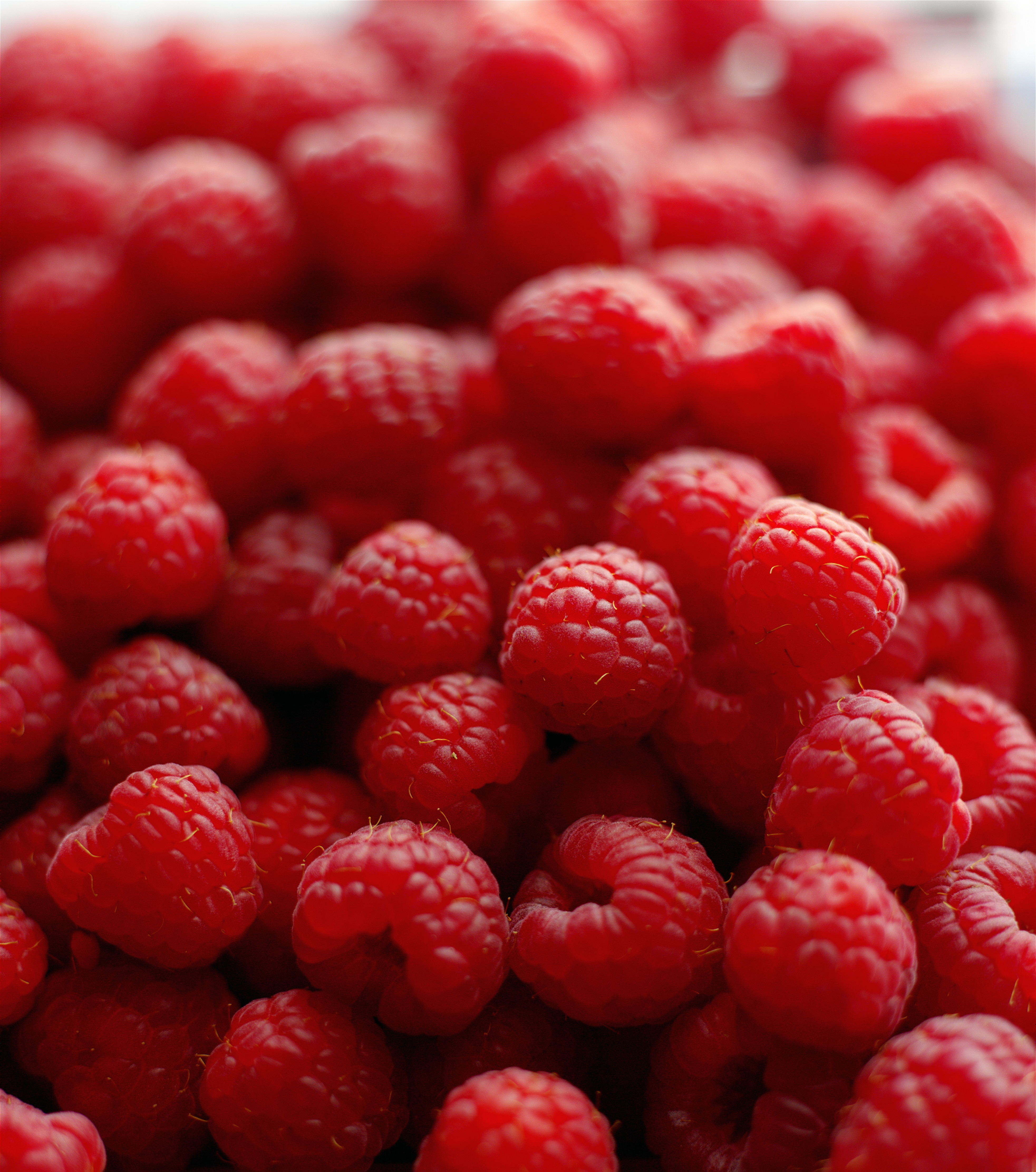 FRAMBOISE