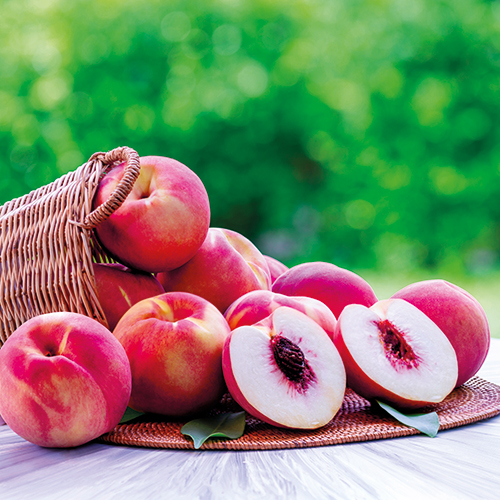 PÊCHES ET NECTARINES JAUNES ET BLANCHES