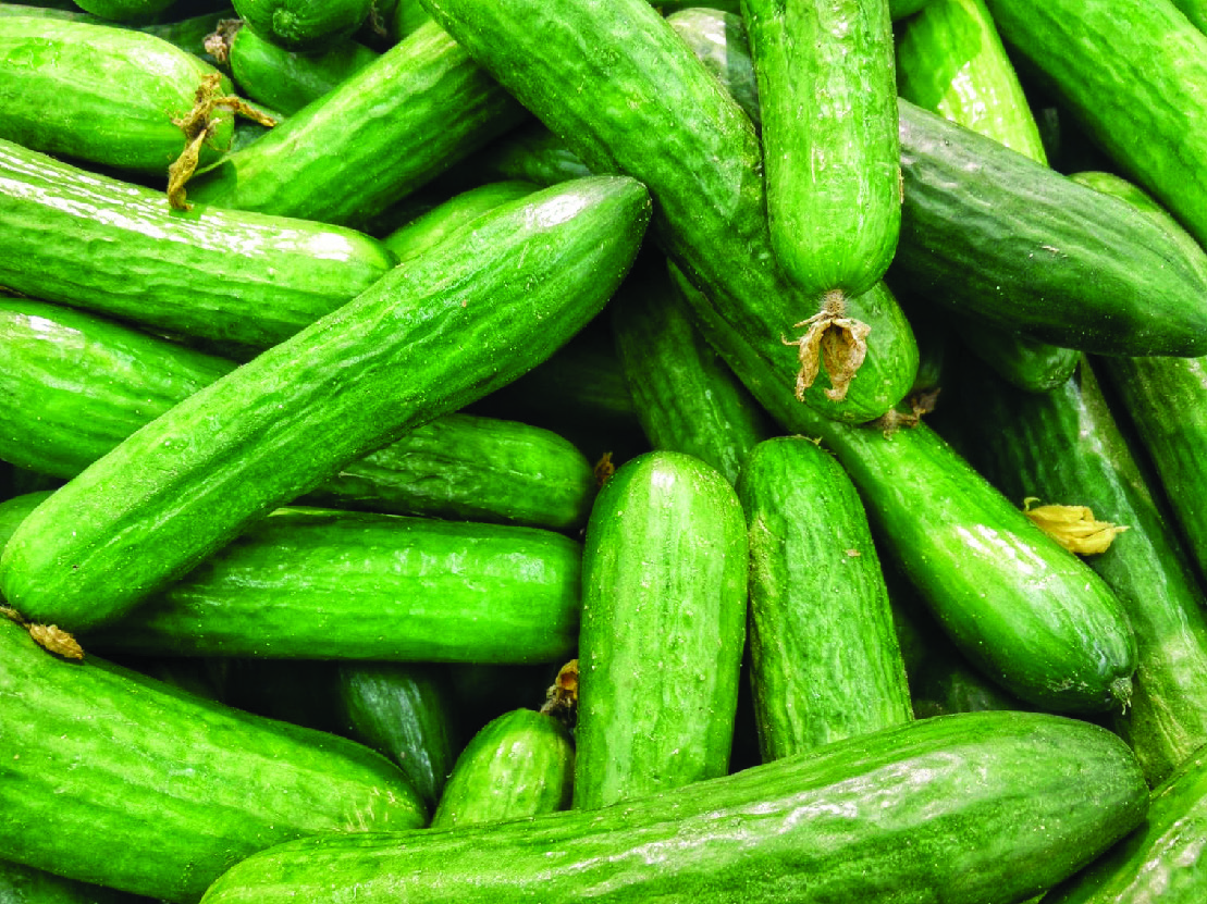 CONCOMBRE