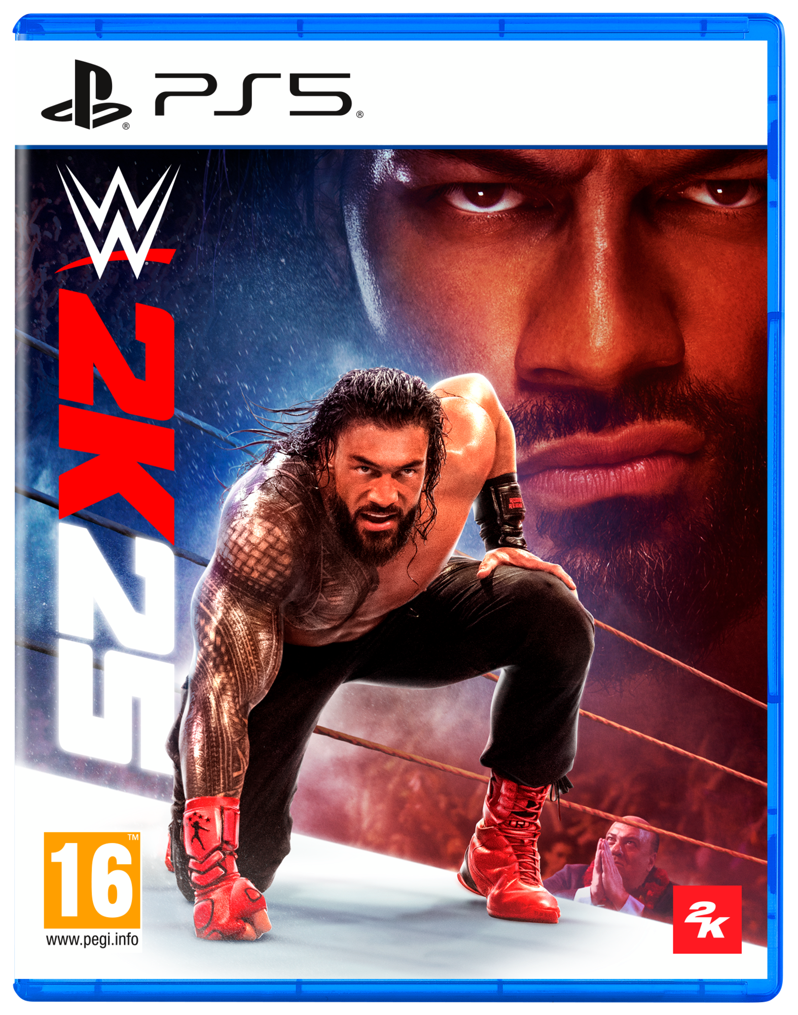 WWE 2K25