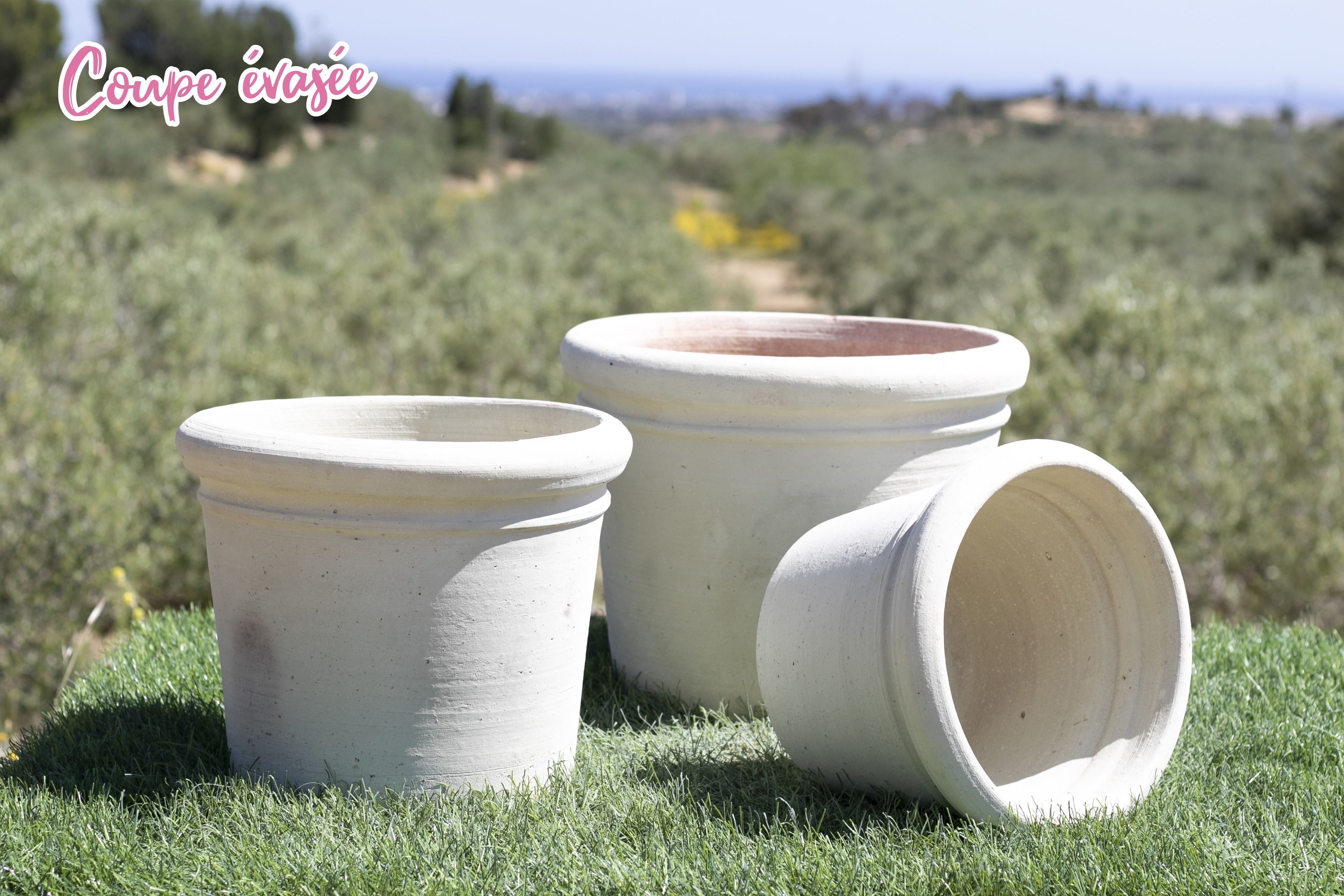 POT EN TERRE CUITE MADHIA
Au choix : Coupe ronde ou Coupe evasée
Dim. 25 x 25 x 24 cm
Existe aussi :
- Dim. 35 x 35 x 30 cm, au prix de 24,90 €
- Dim. 45 x 45 x 37 cm, au prix de 38,90 €