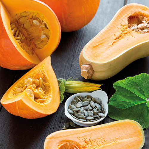COURGE BUTTERNUT OU POTIMARRON