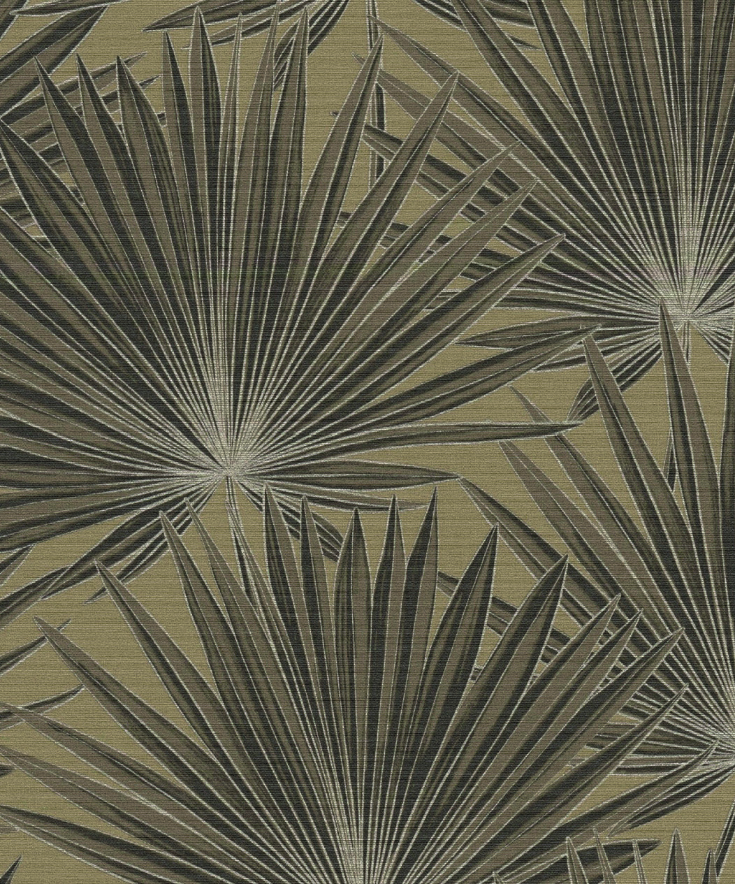 PALMIER ÉVENTAIL BRUN