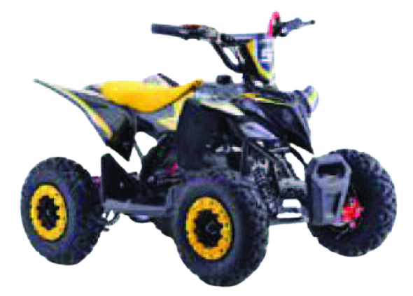 QUAD ENFANT 50 CM³ 
