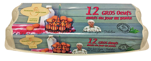 12 GROS ŒUFS
