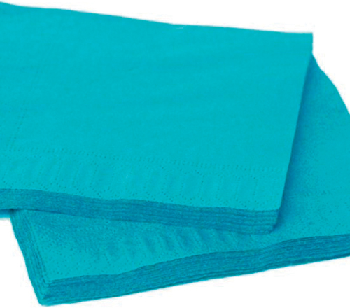 200 SERVIETTES EN PAPIER 2 PLIS 
33 X 33 CM