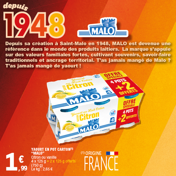 YAOURT EN POT CARTON