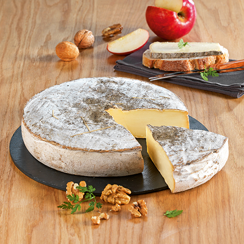 SAINT-NECTAIRE AOP FERMIER 28% DE MAT.GR.