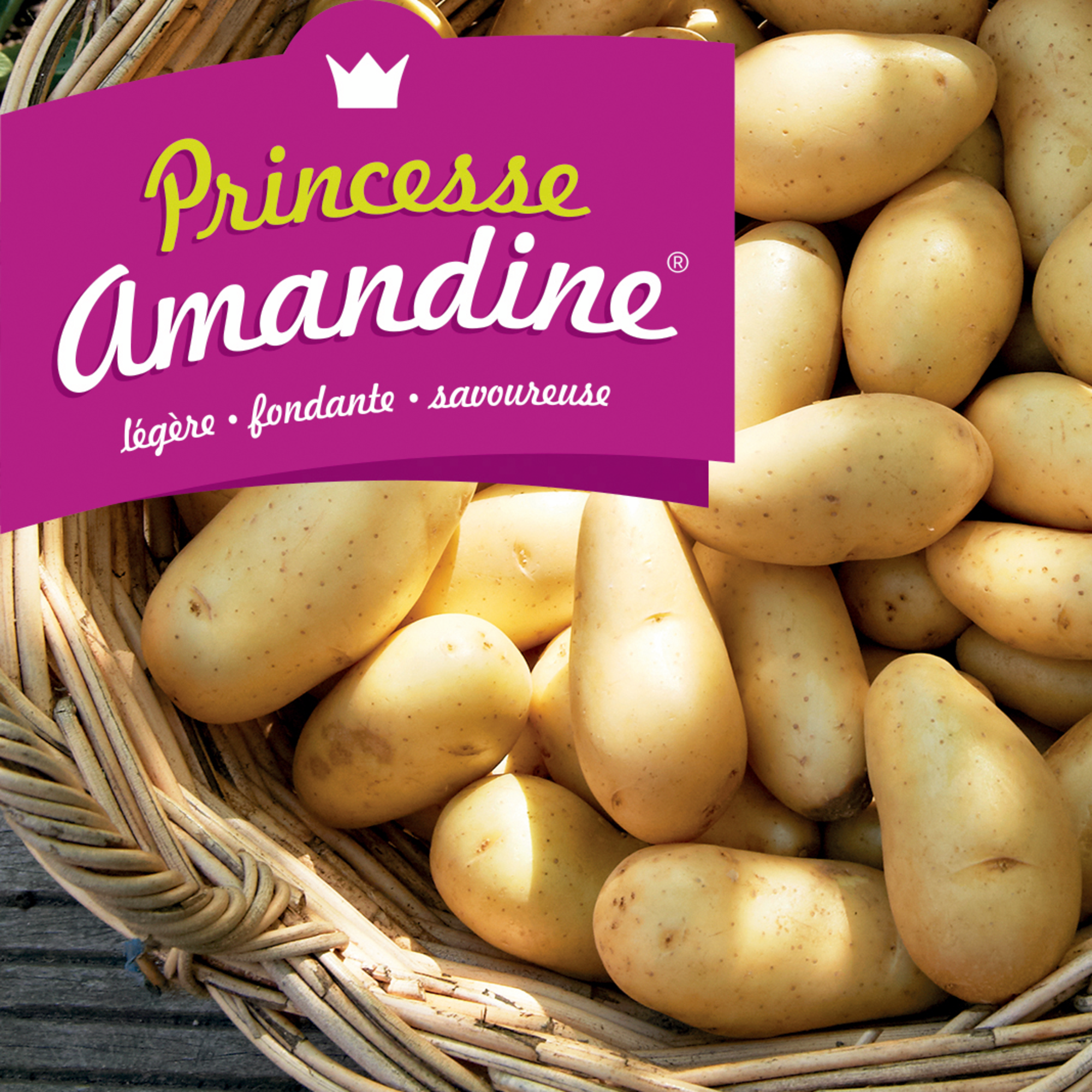 Pomme de terre consommation à chair ferme - traitement anti germinatif après récolte
"princesse Amandine"