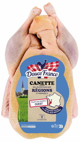 CANETTE
