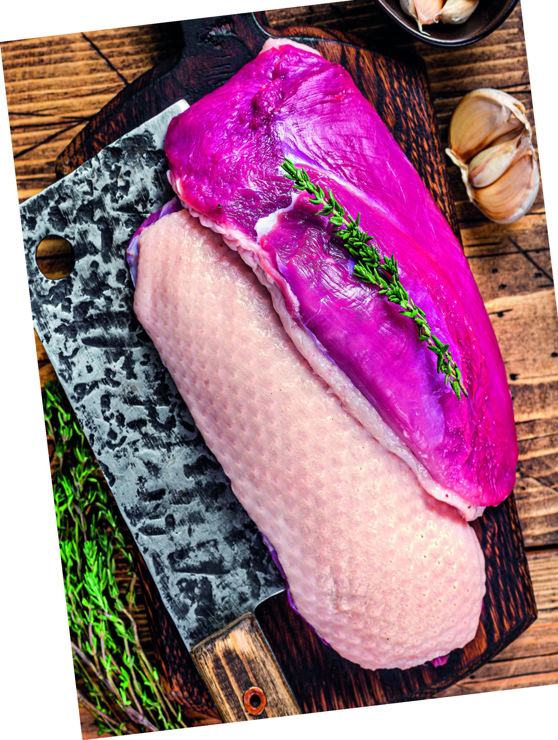 MAGRET DE CANARD