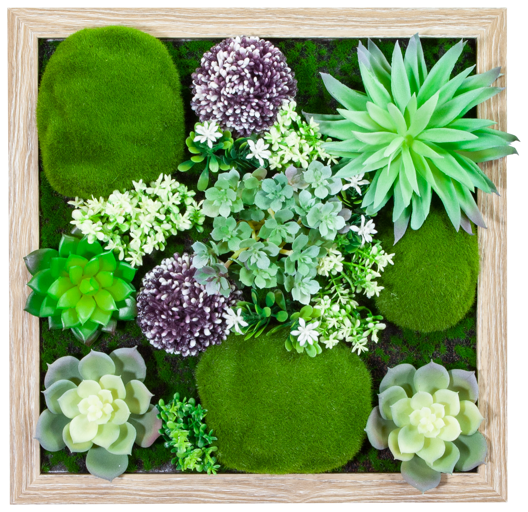 TABLEAU VÉGÉTAL EDEN