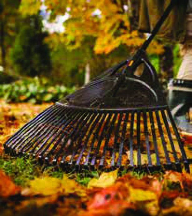 BALAI À FEUILLE XL 27 DENTS