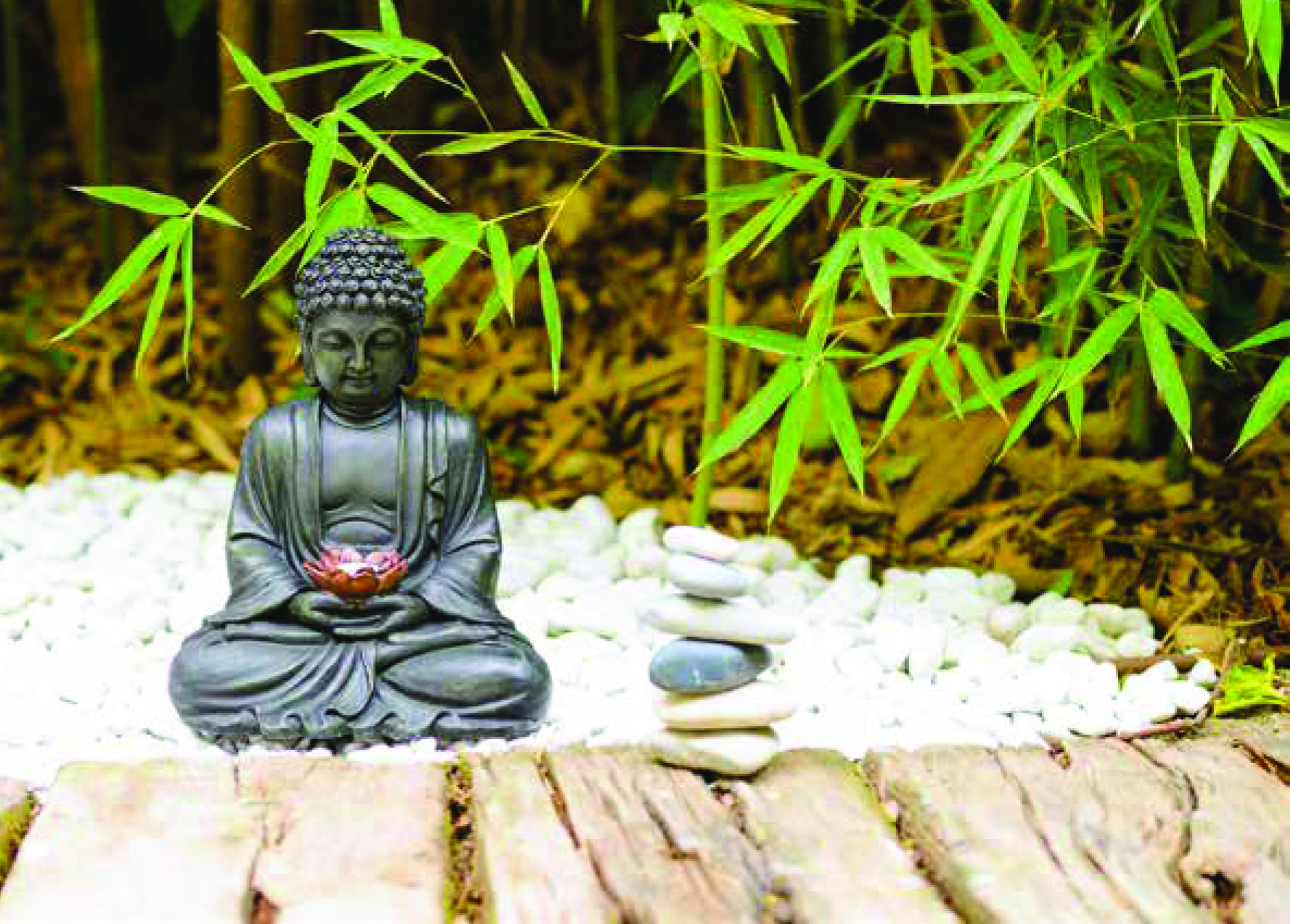 BOUDDHA SOLAIRE AVEC FLEUR DE LOTUS