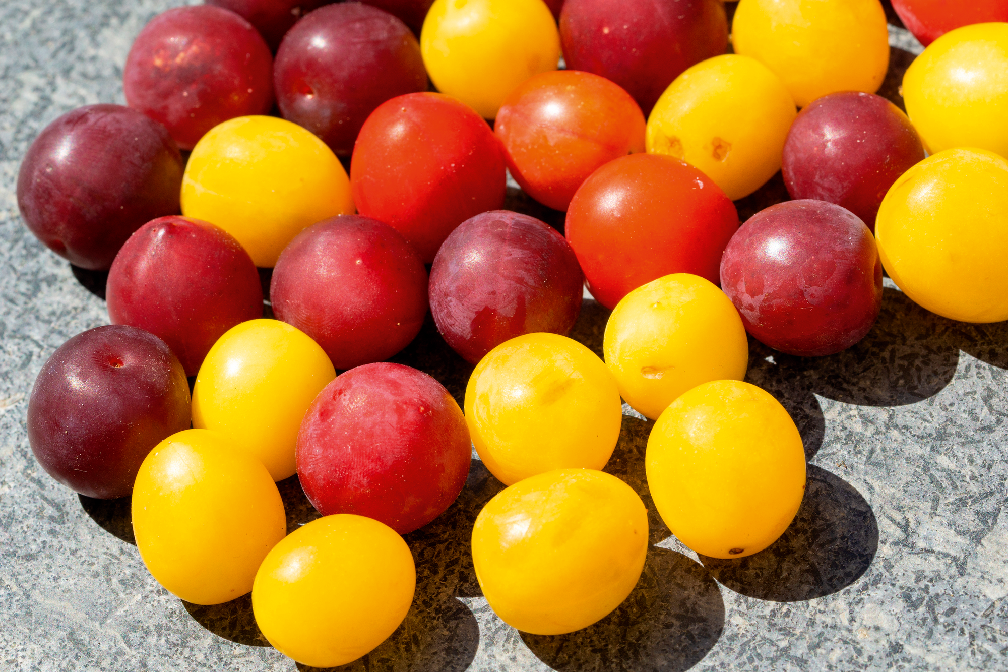 Prune rouge ou jaune