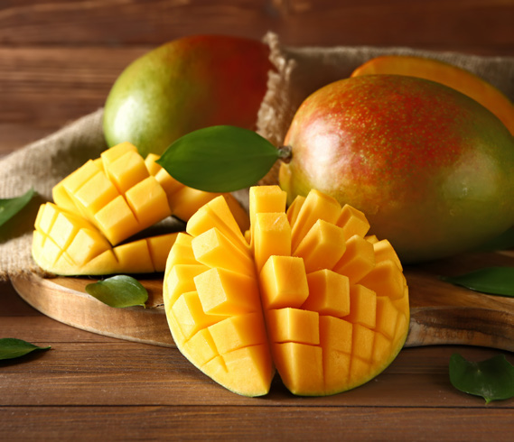 MANGUE X2