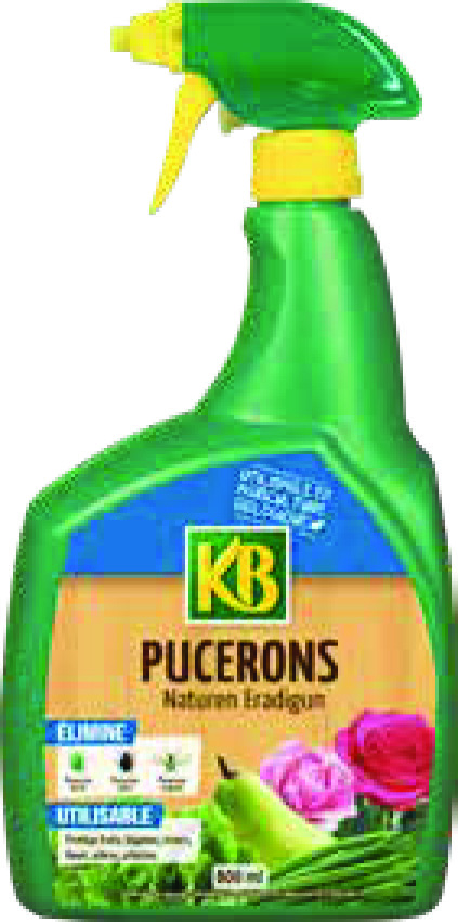 PUCERONS (2)(3)