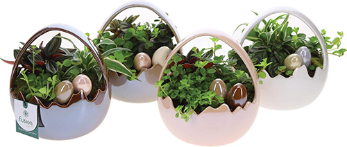 COMPOSITION PANIER DE PÂQUES FORME ŒUF