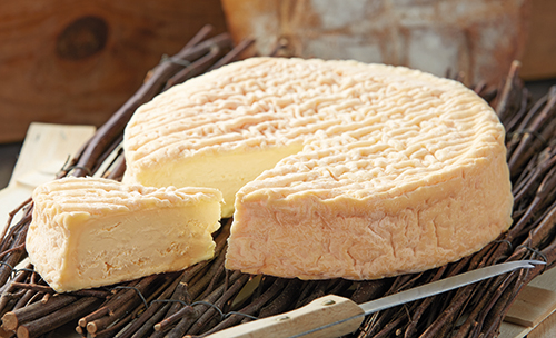 EPOISSES AOP 24% MAT.GR.