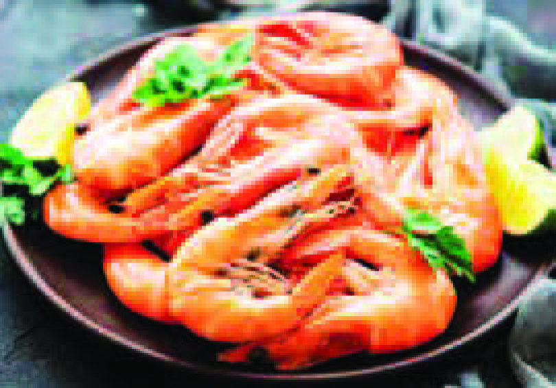 CREVETTES ROSES CUITES