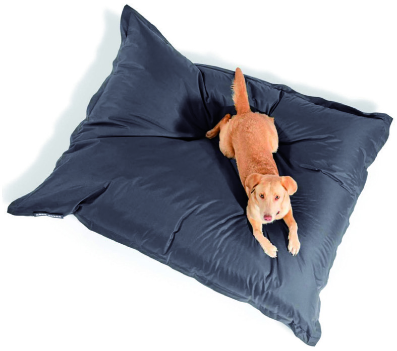 COUSSIN DÉHOUSSABLE POUR CHIEN
