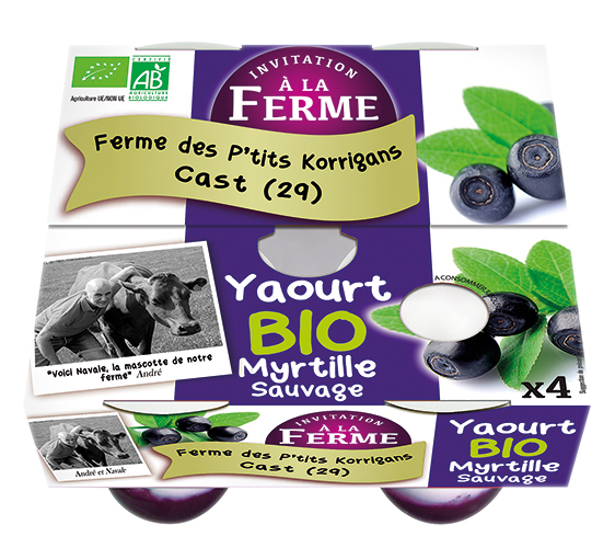 YAOURT BIO À LA MYRTILLE SAUVAGE